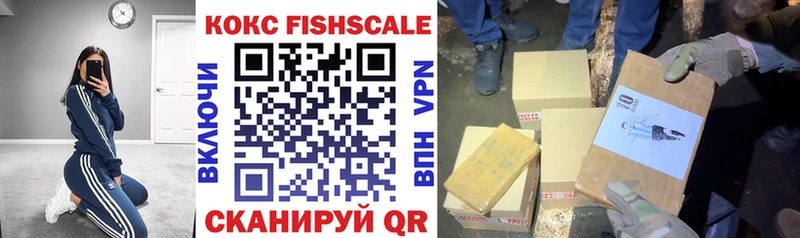 COCAIN Fish Scale  darknet Telegram  Томари 
