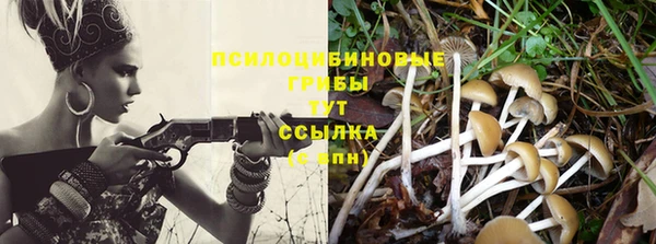 гидра Баксан