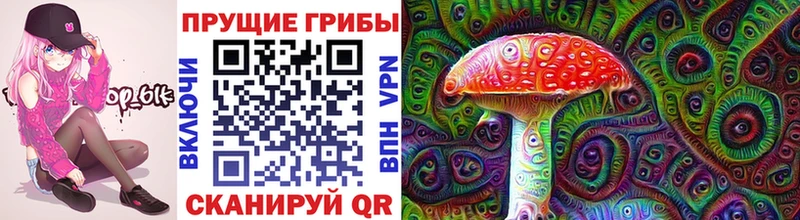 kraken ONION  Томари  Галлюциногенные грибы Psilocybine cubensis 